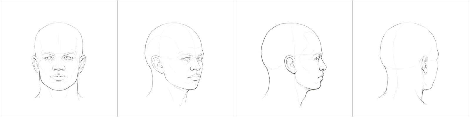 Head rotation study pack 09, four pencil angles