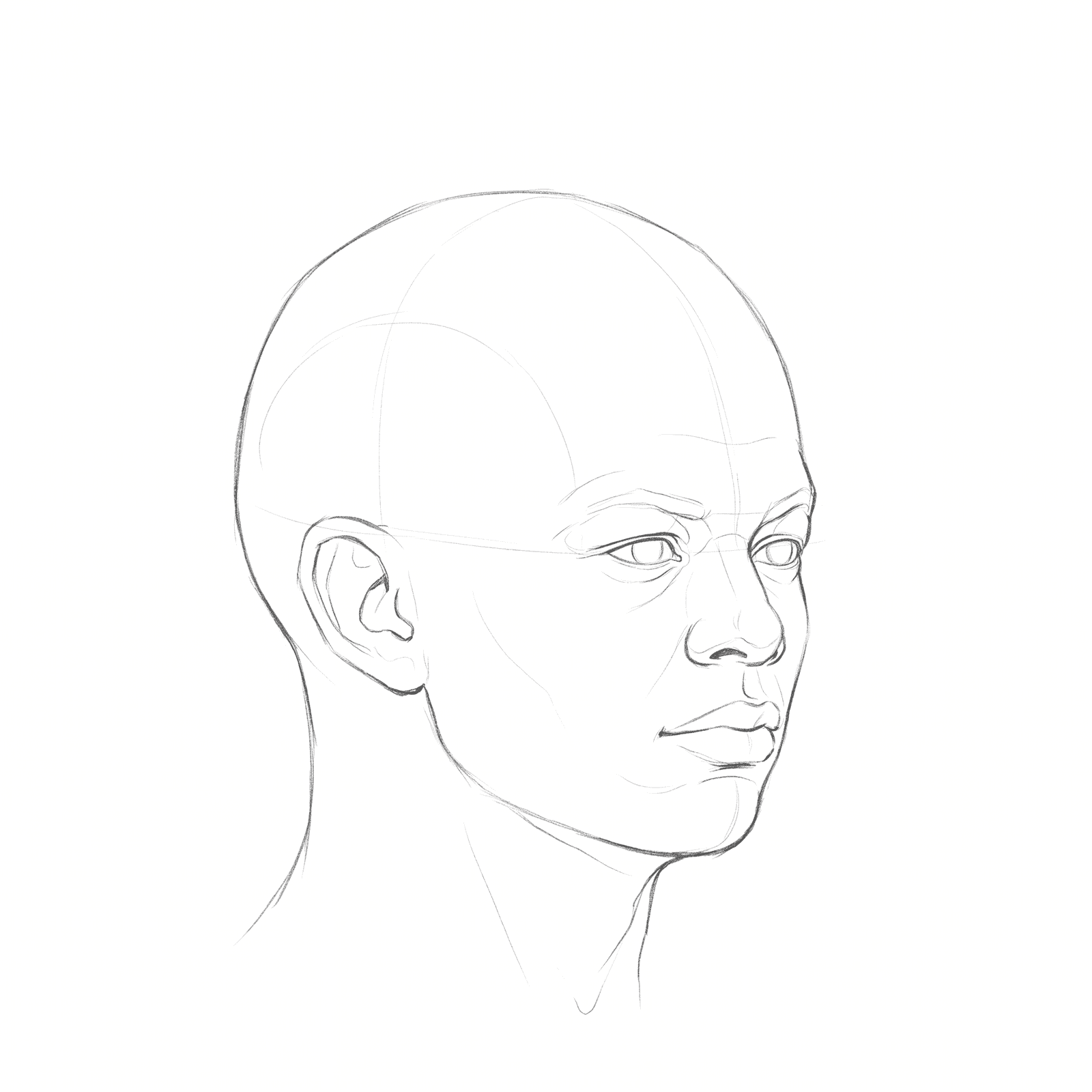 Head rotation study pack 09 at 45 degrees