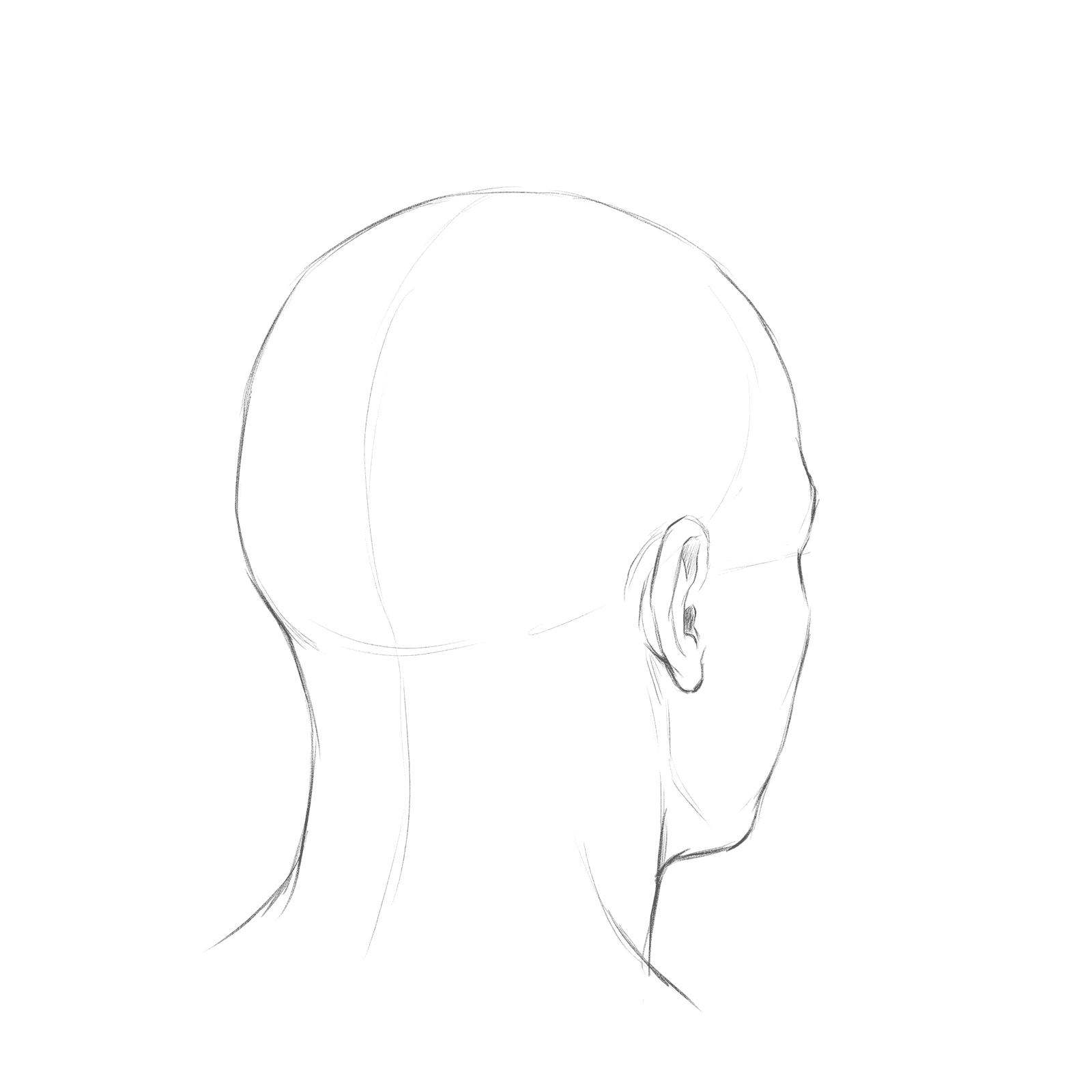 Head rotation study pack 09 at 135 degrees