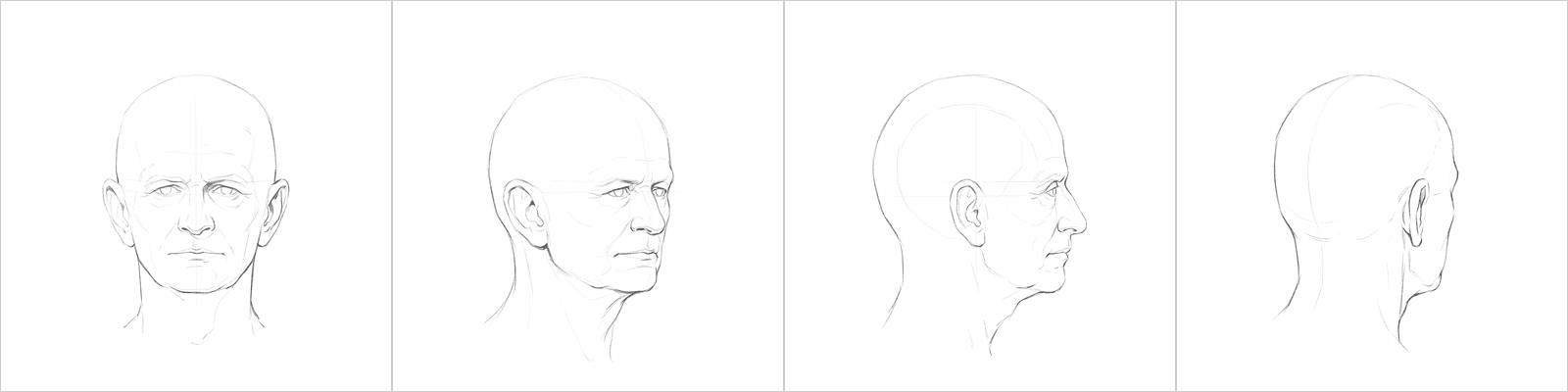 Head rotation study pack 10, four pencil angles