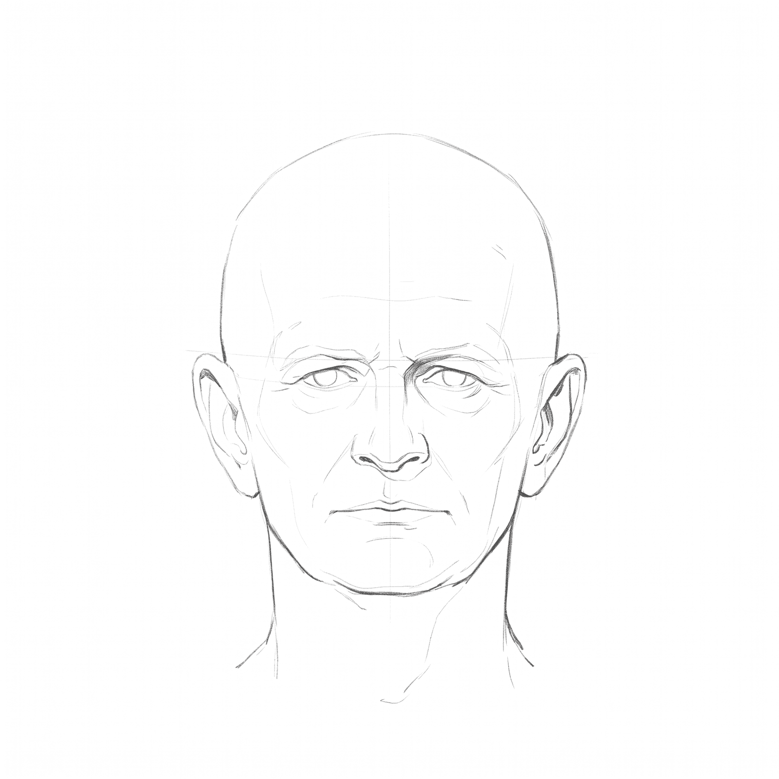 Head rotation study pack 10 at 0 degrees