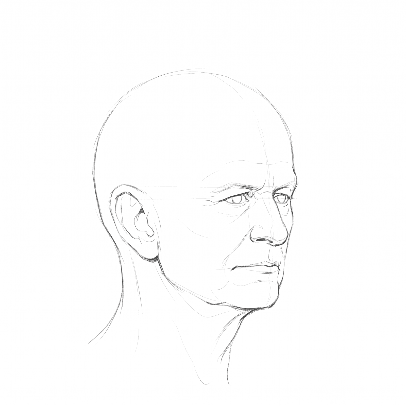 Head rotation study pack 10 at 45 degrees