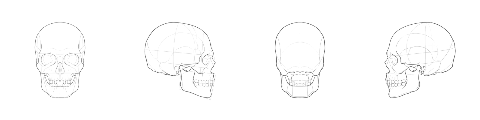 Skull turnaround, volume 1, front, both profiles and back at 0, 90, 180 and 270 degrees