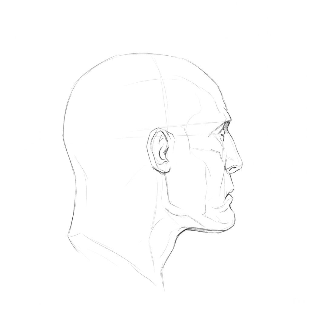 Head rotation reference, Gaunt planes, 112.5 degrees just behind profile, pencil drawing