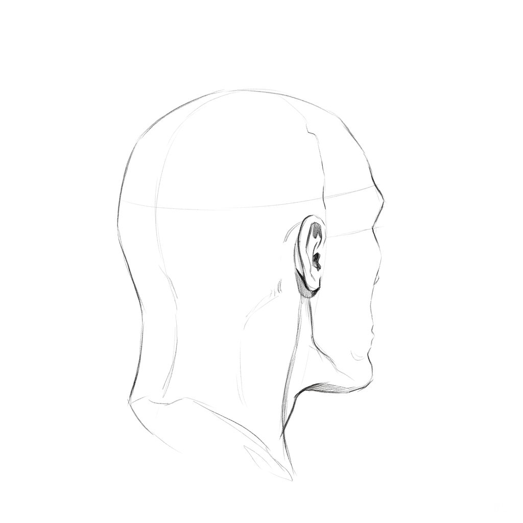 Head rotation reference, Gaunt planes, 135 degrees rear three-quarter, pencil drawing