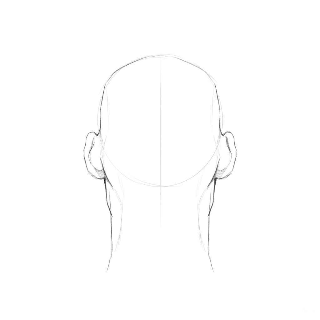 Head rotation reference, Gaunt planes, 180 degrees back view, pencil drawing