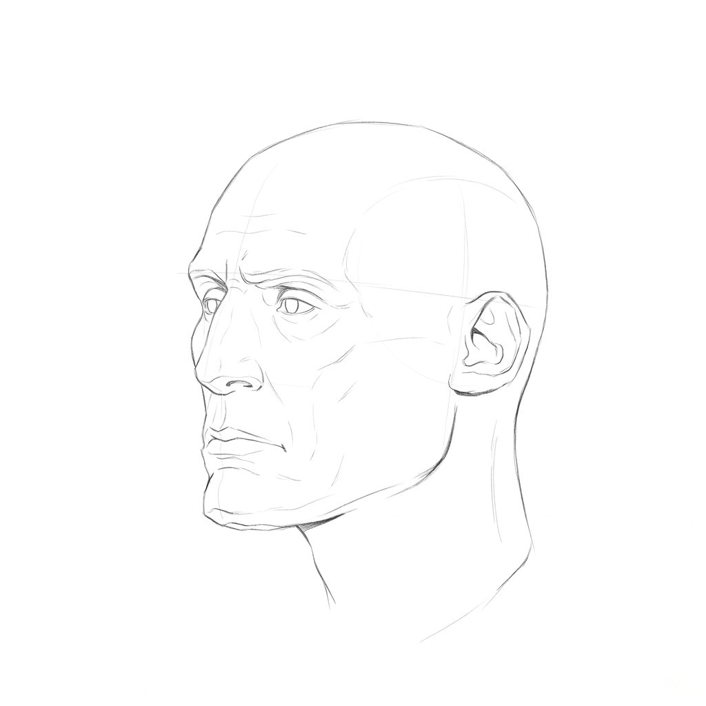 Head rotation reference, Gaunt planes, 315 degrees three-quarter view, pencil drawing