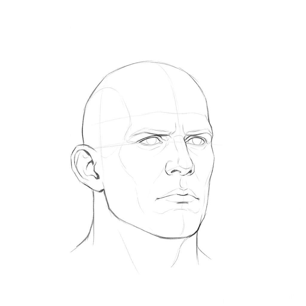Head rotation reference, Heavy jaw, 22.5 degrees slight three-quarter view, pencil drawing