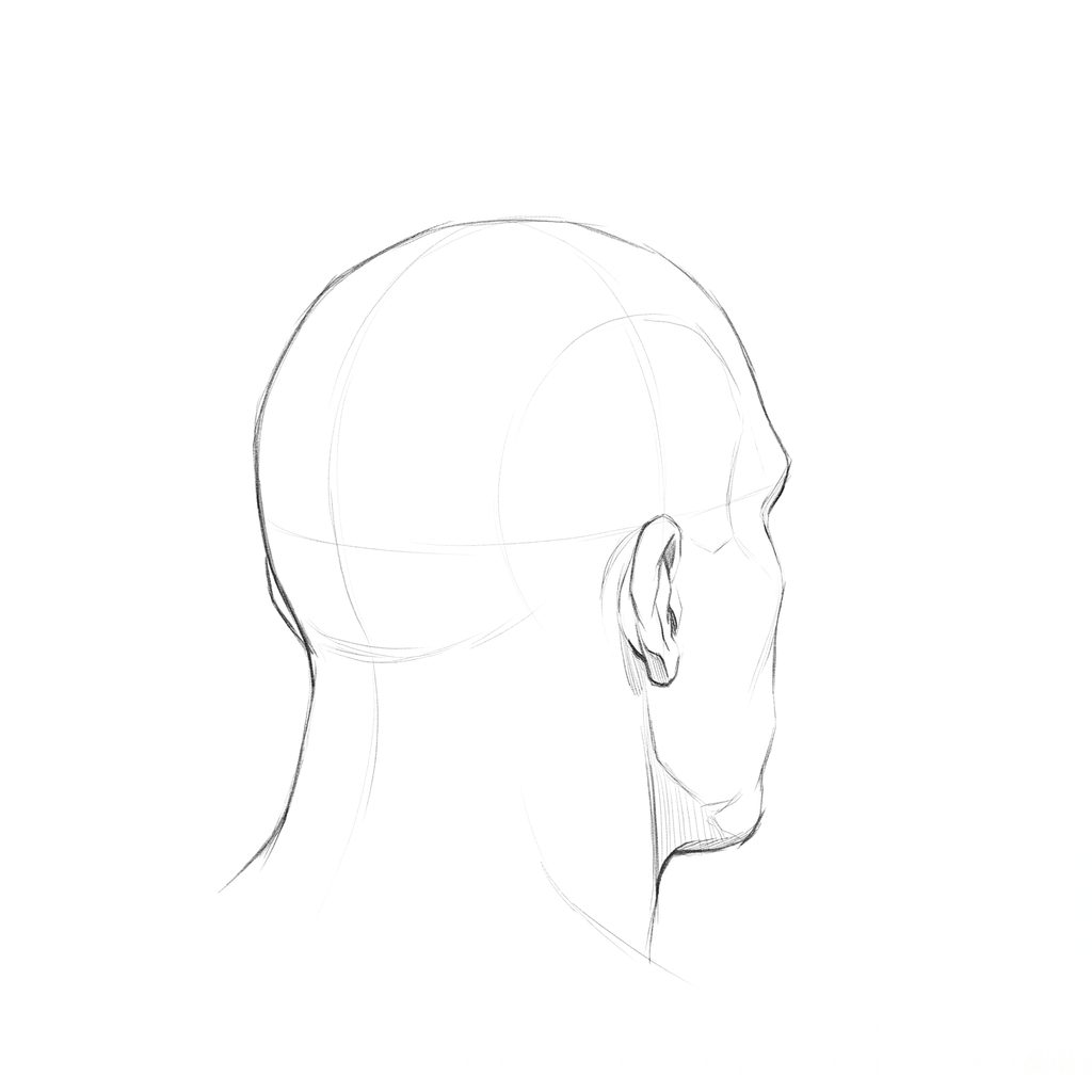 Head rotation reference, Heavy jaw, 135 degrees rear three-quarter, pencil drawing