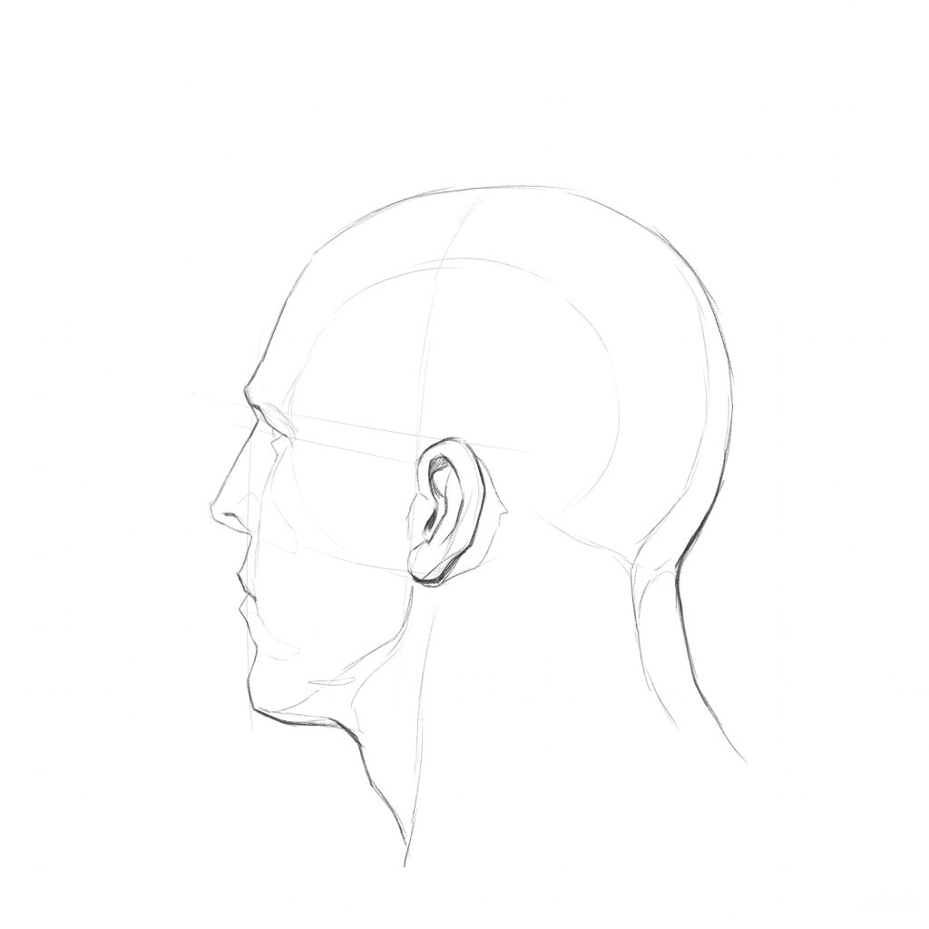 Head rotation reference, Heavy jaw, 247.5 degrees just behind profile, pencil drawing