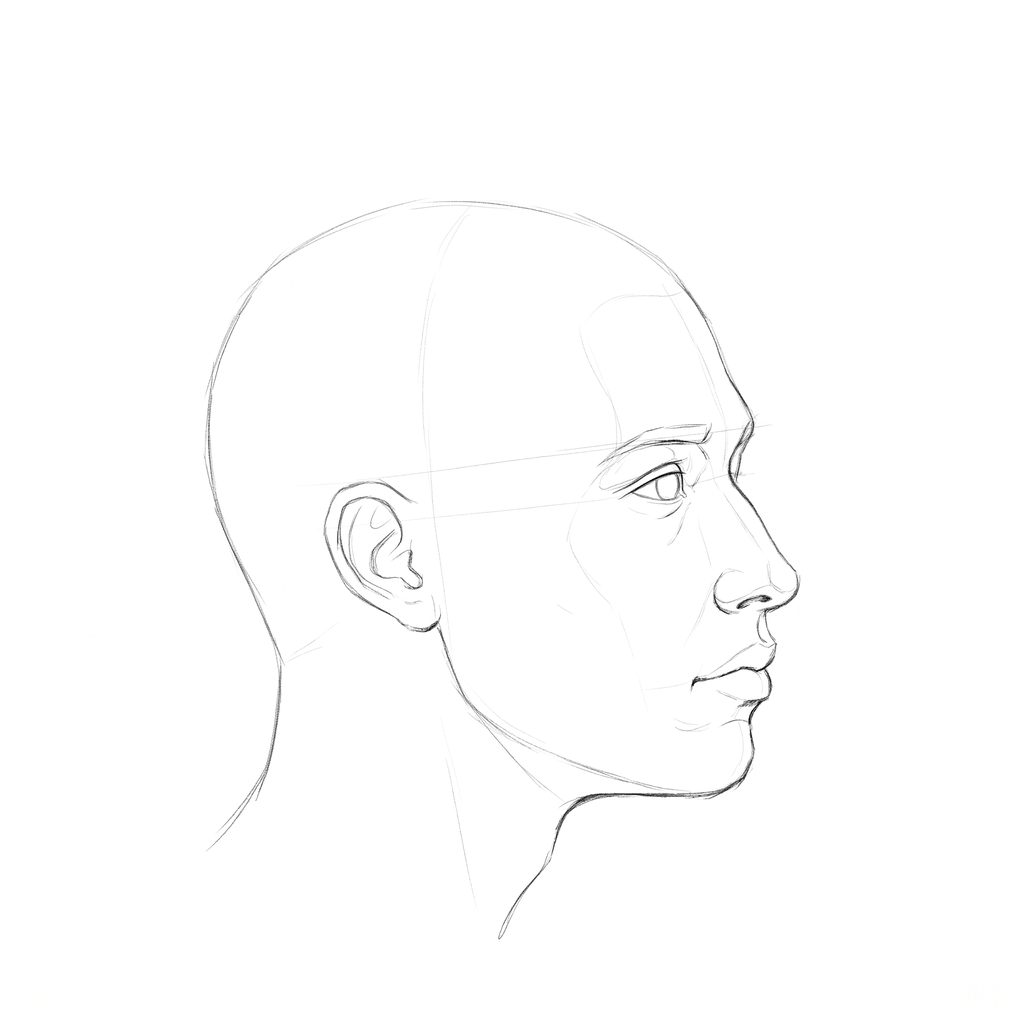 Head rotation reference, Minimal head, 67.5 degrees near-profile view, pencil drawing