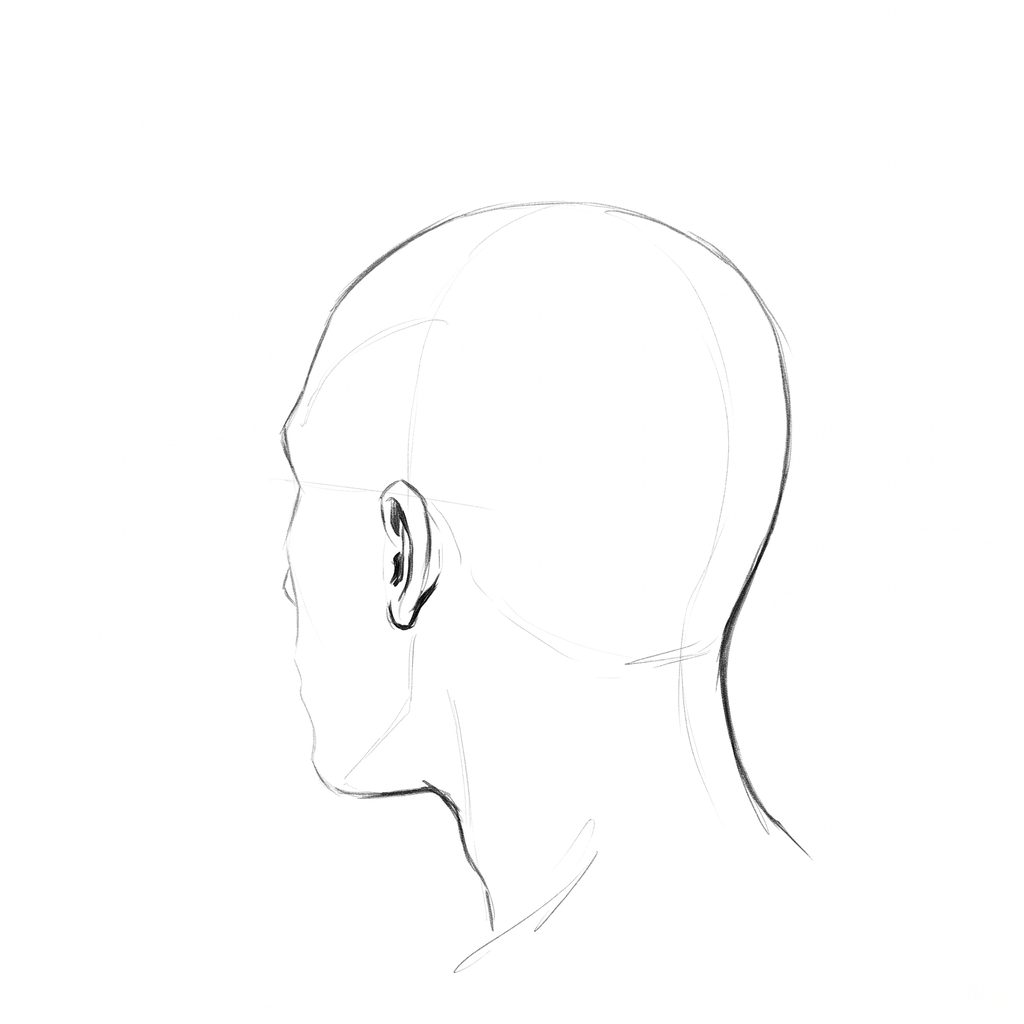 Head rotation reference, Minimal head, 225 degrees rear three-quarter, pencil drawing