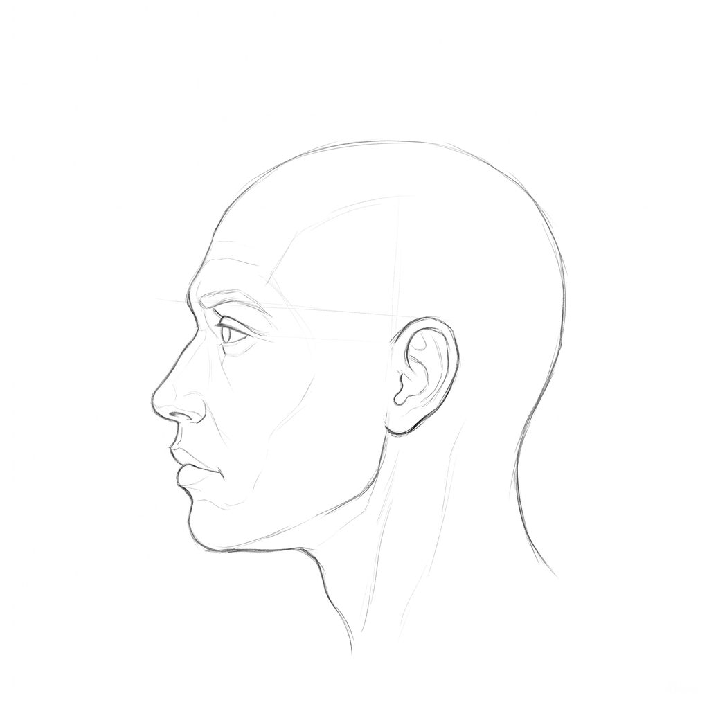 Head rotation reference, Minimal head, 247.5 degrees just behind profile, pencil drawing