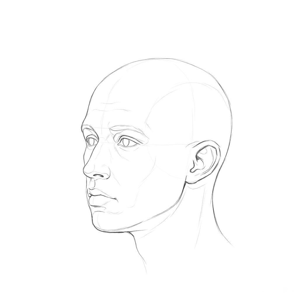 Head rotation reference, Minimal head, 315 degrees three-quarter view, pencil drawing
