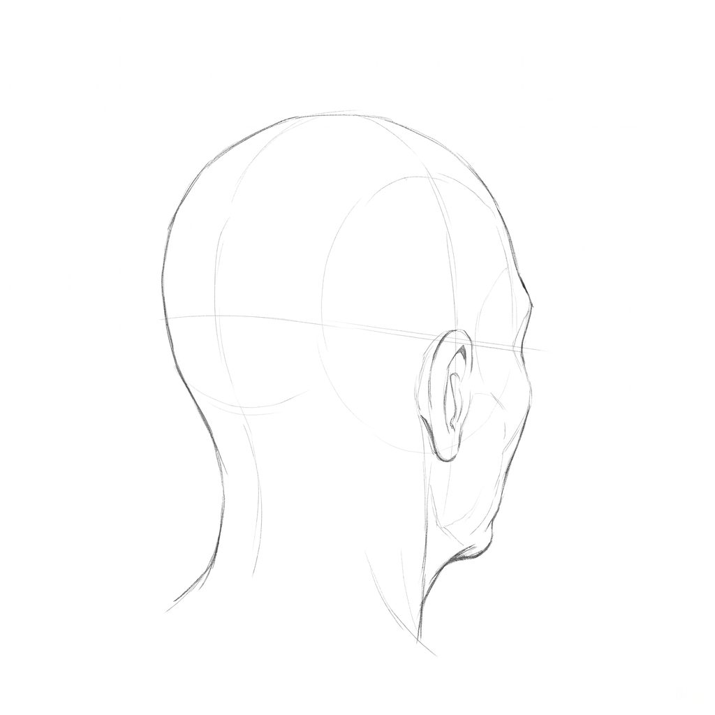 Head rotation reference, Deep folds, 135 degrees rear three-quarter, pencil drawing