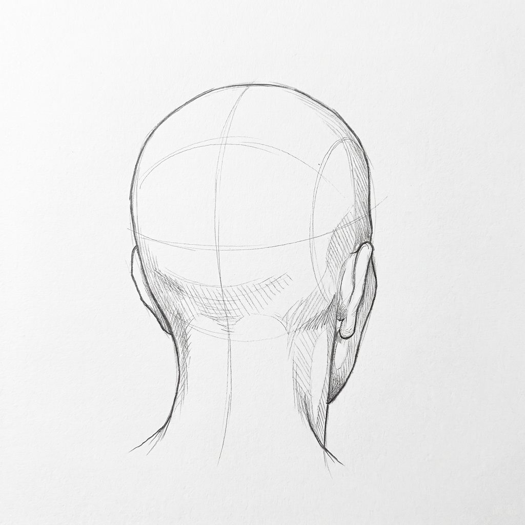 Head rotation reference, Deep folds, 157.5 degrees near-back view, tonal drawing