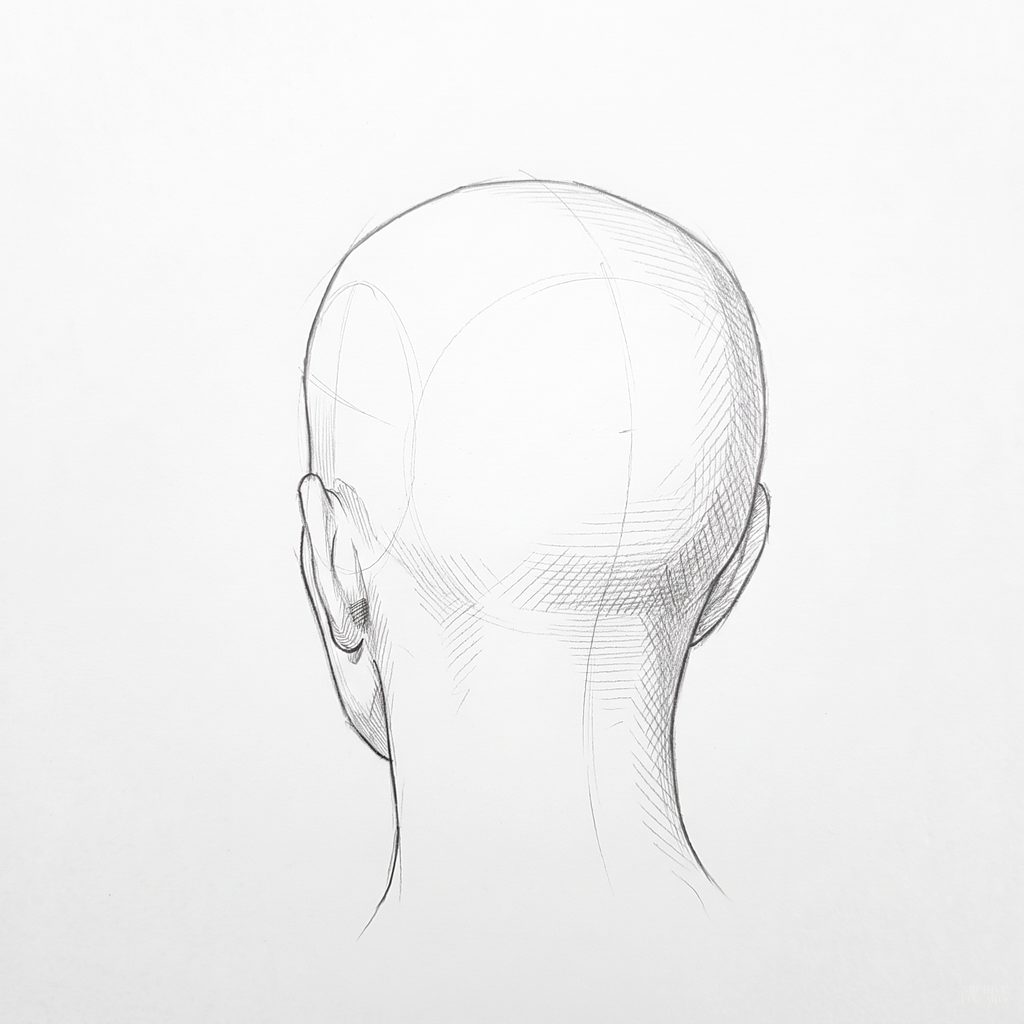 Head rotation reference, Soft planes, 202.5 degrees near-back view, tonal drawing