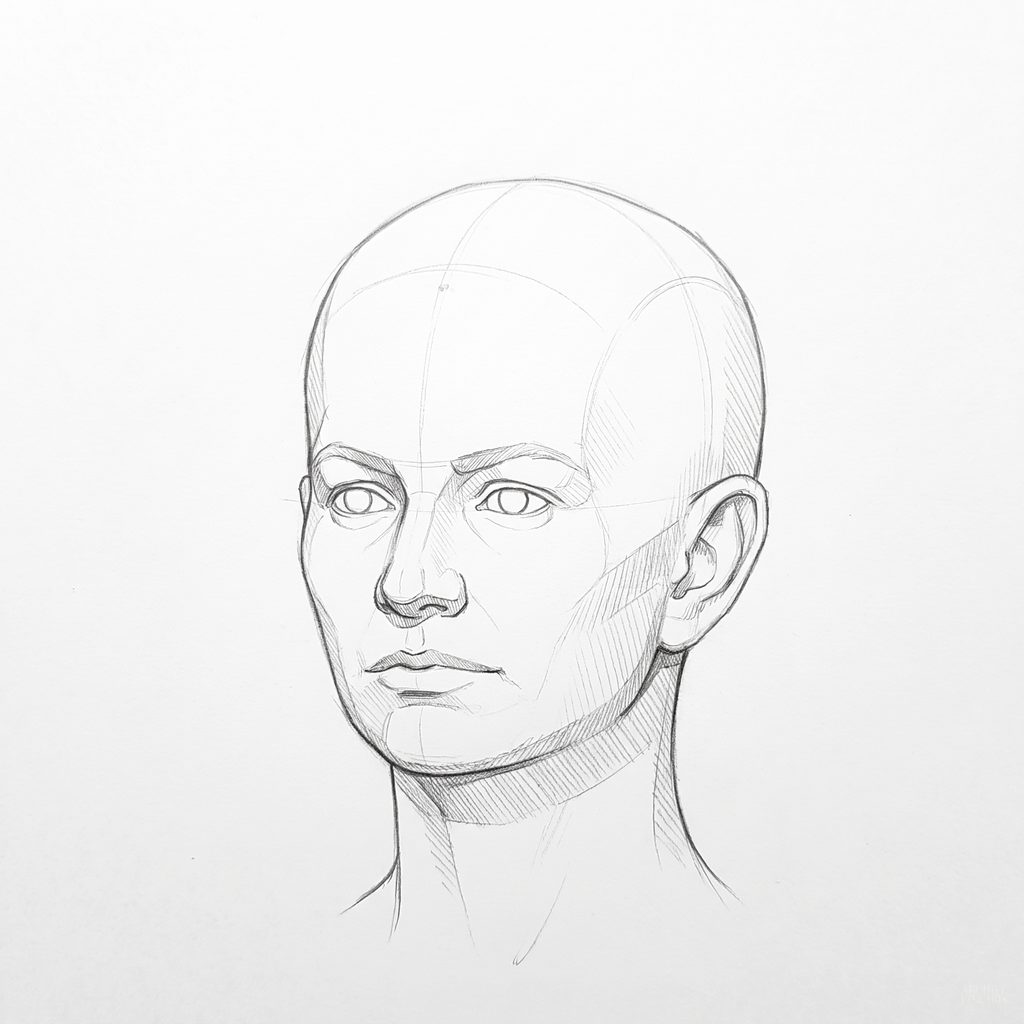 Head rotation reference, Soft planes, 337.5 degrees slight three-quarter view, tonal drawing
