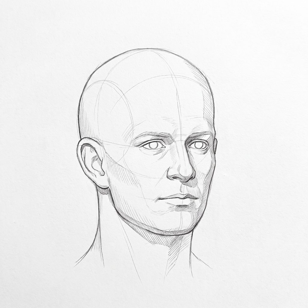Head rotation reference, Square jaw, 22.5 degrees slight three-quarter view, tonal drawing