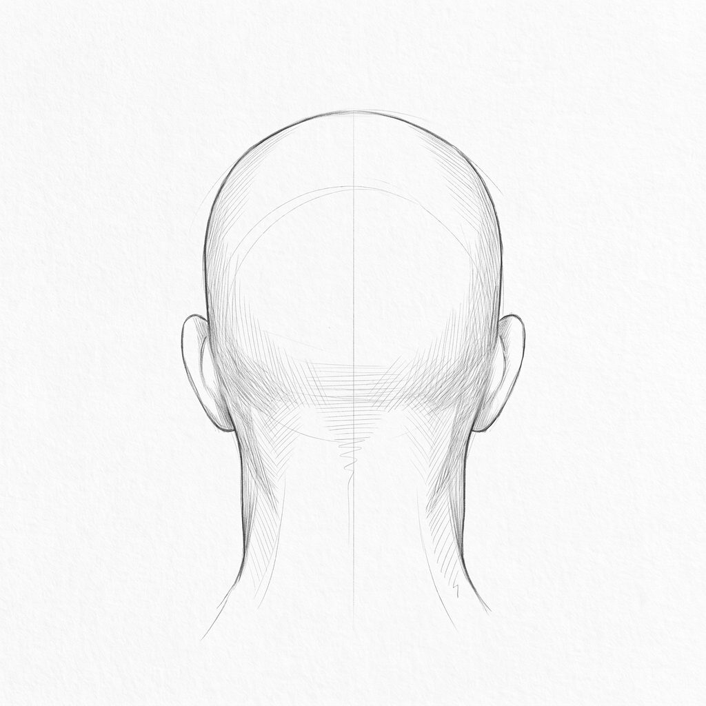 Head rotation reference, Square jaw, 180 degrees back view, tonal drawing