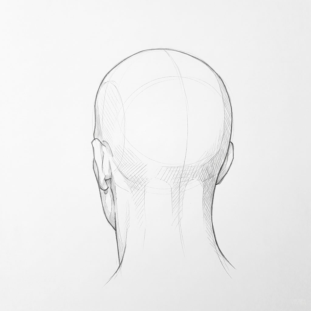 Head rotation reference, Square jaw, 202.5 degrees near-back view, tonal drawing