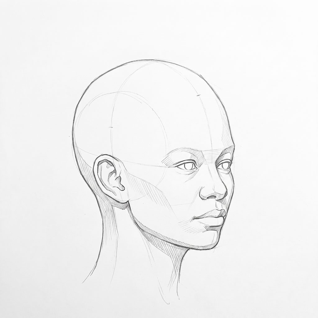 Head rotation reference, Full lips, 45 degrees three-quarter view, tonal drawing