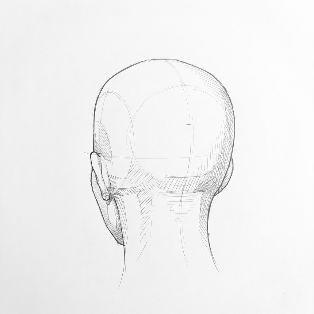 Head rotation reference, Full lips, 202.5 degrees near-back view, tonal drawing