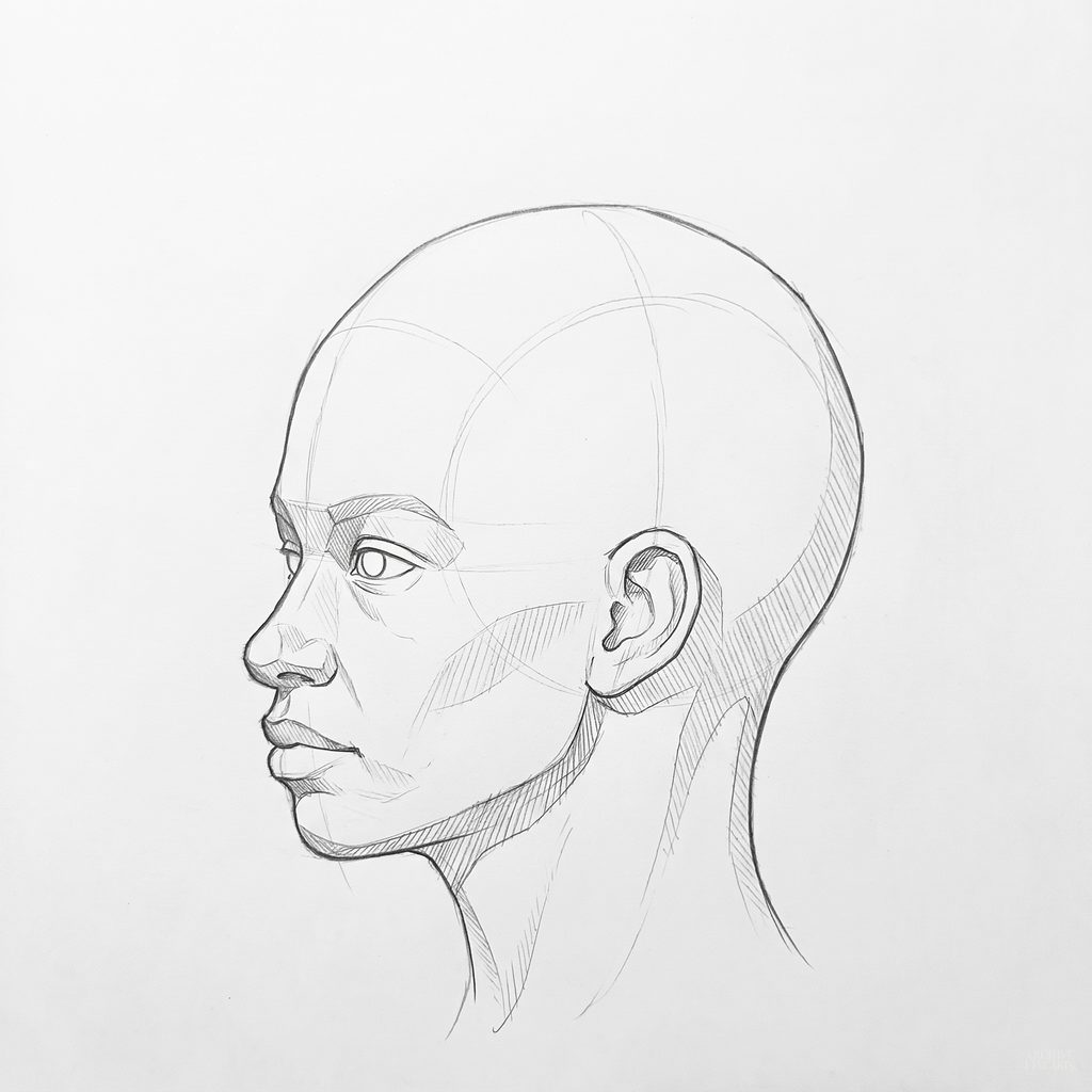 Head rotation reference, Full lips, 292.5 degrees near-profile view, tonal drawing