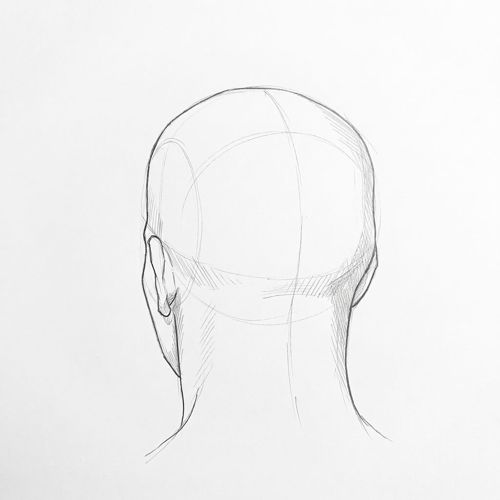 Head rotation reference, High cheekbones, 202.5 degrees near-back view, tonal drawing