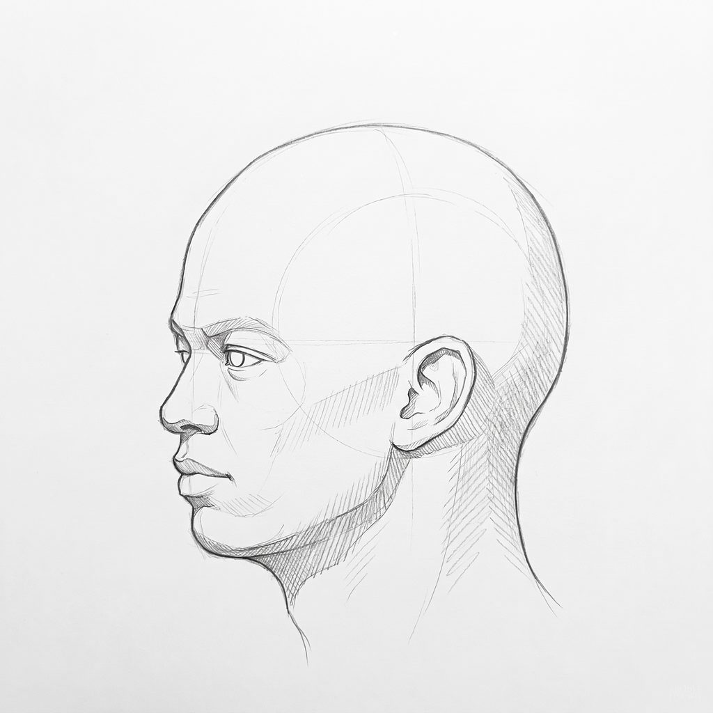 Head rotation reference, High cheekbones, 292.5 degrees near-profile view, tonal drawing