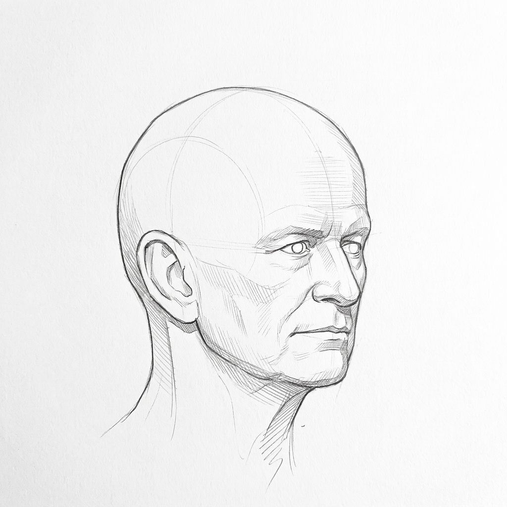 Head rotation reference, Heavy brow, 45 degrees three-quarter view, tonal drawing