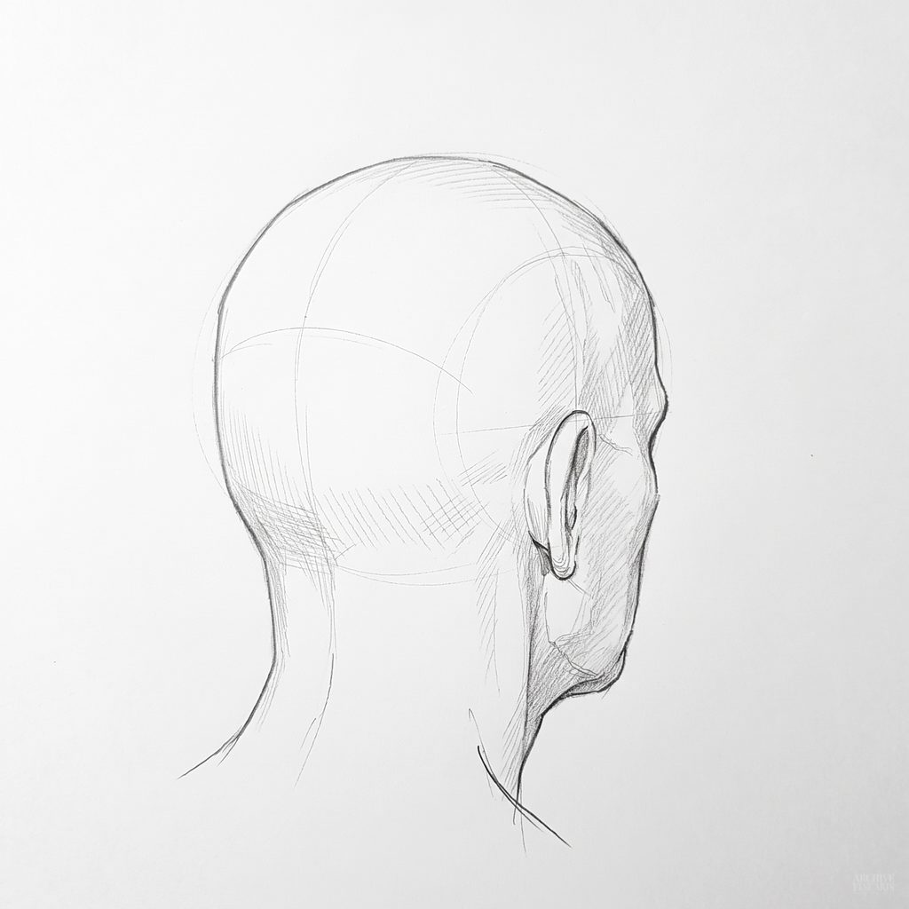 Head rotation reference, Heavy brow, 135 degrees rear three-quarter, tonal drawing
