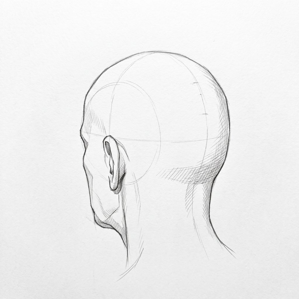 Head rotation reference, Heavy brow, 225 degrees rear three-quarter, tonal drawing