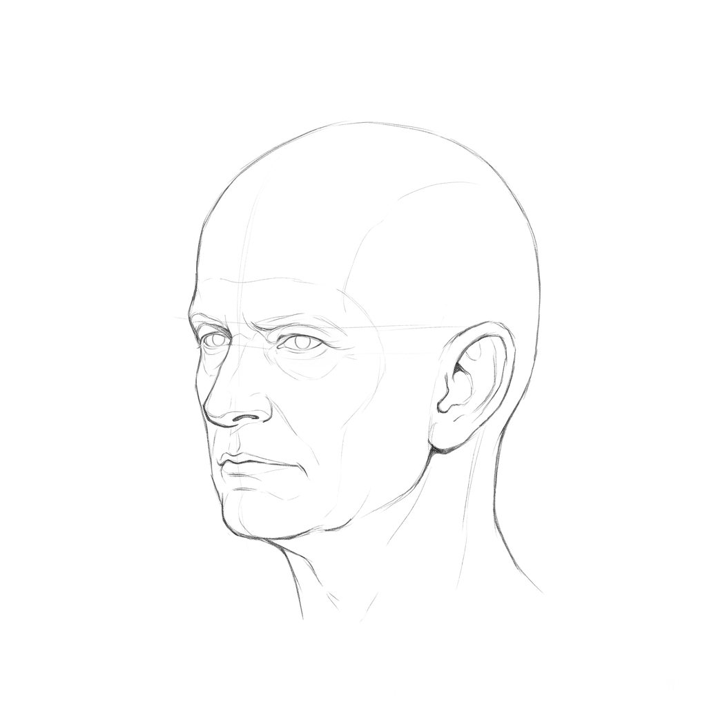 Head rotation reference, Heavy brow, 315 degrees three-quarter view, pencil drawing