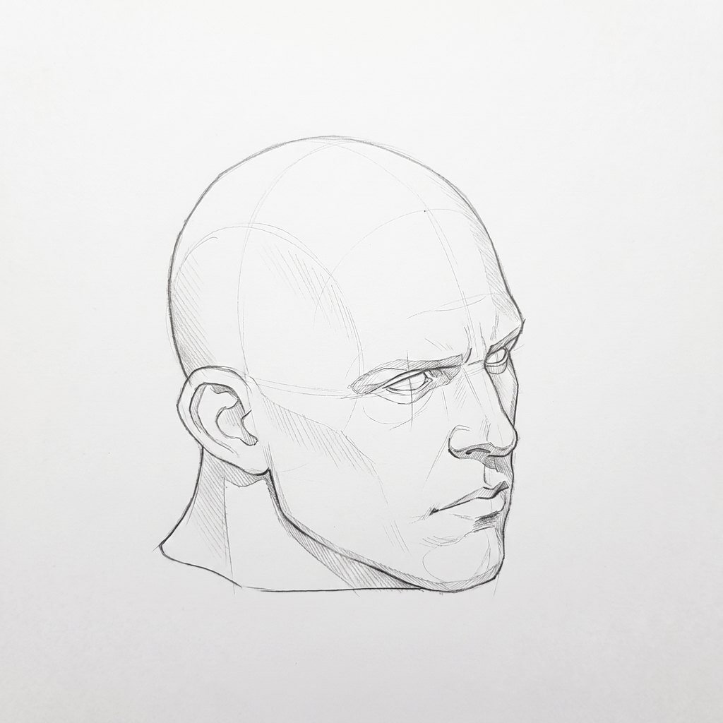 Head from above reference, heavy jaw, 45 degrees three-quarter view, seen from 20 degrees above, tonal drawing