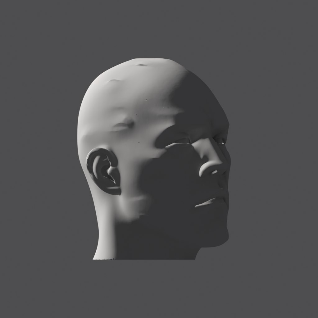 Head lighting reference, hard-plane head at a 45 degree turn, light from behind, on the ear side