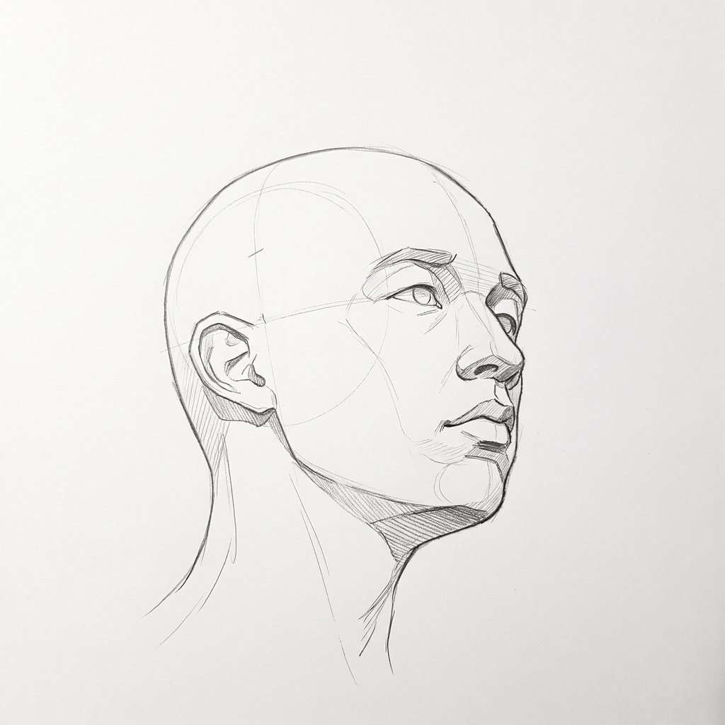 Head from below reference, minimal head, 45 degrees three-quarter view, seen from 20 degrees below, tonal drawing